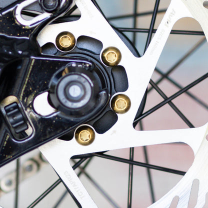 Titanium Rotor Bolt Kit