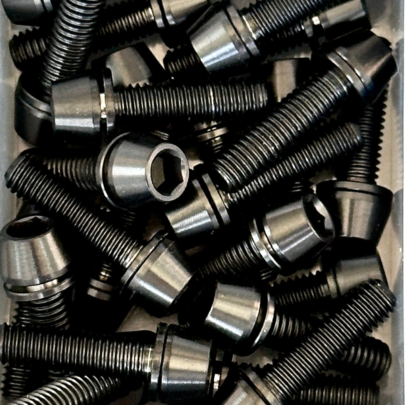 Individual Titanium Bolts