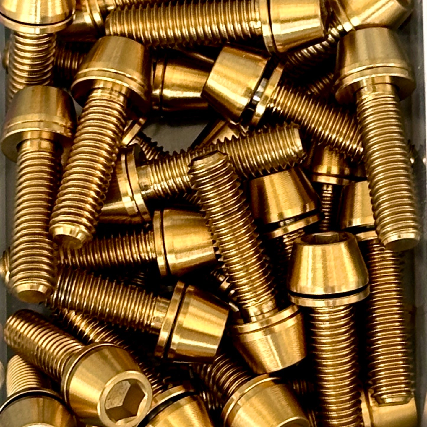 Individual Titanium Bolts