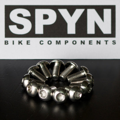 Raw titanium rotor bolt kit
