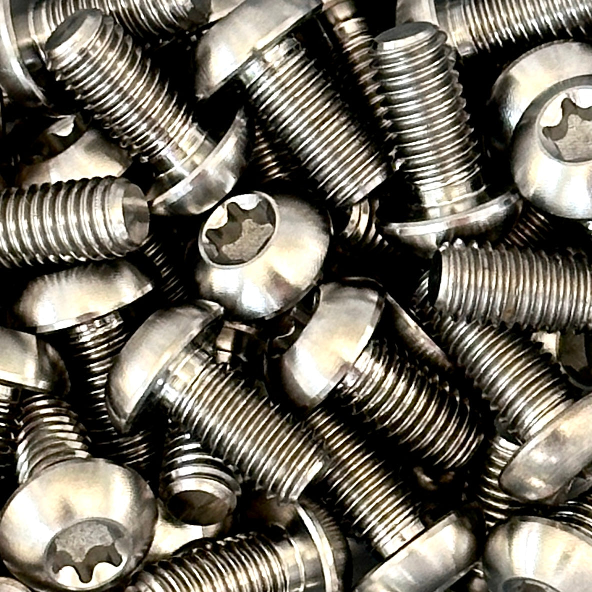 Individual Titanium Bolts